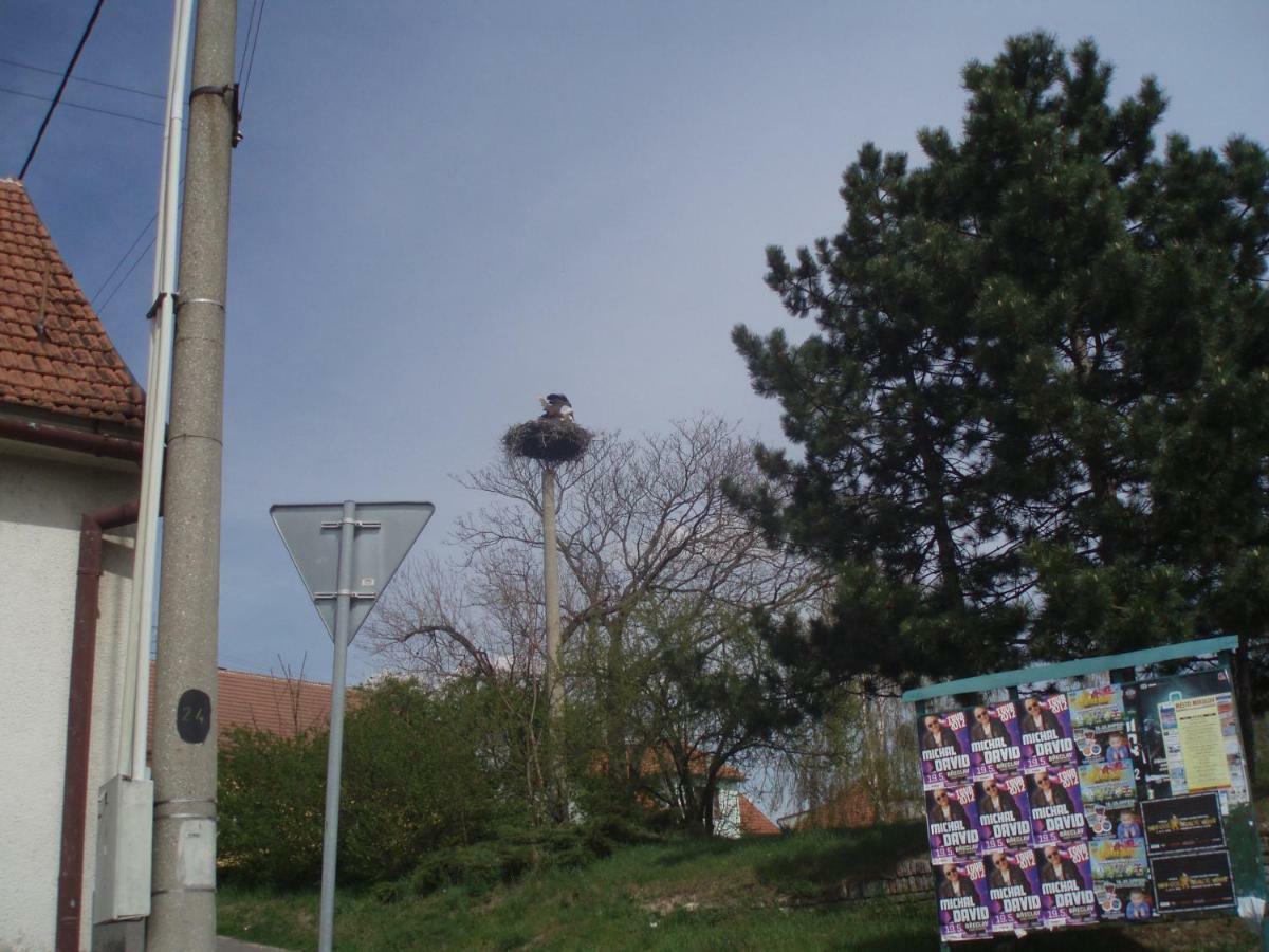 "U Capa" Krasny Apartman V Sedleci Sedlec  Luaran gambar